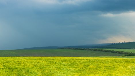 Volontariato in Moldavia